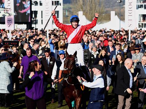 cheltenham racing betting|cheltenham festival 2023 betting.